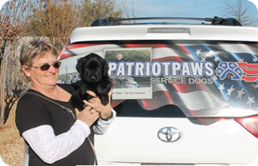 Patriot Paws Image 4